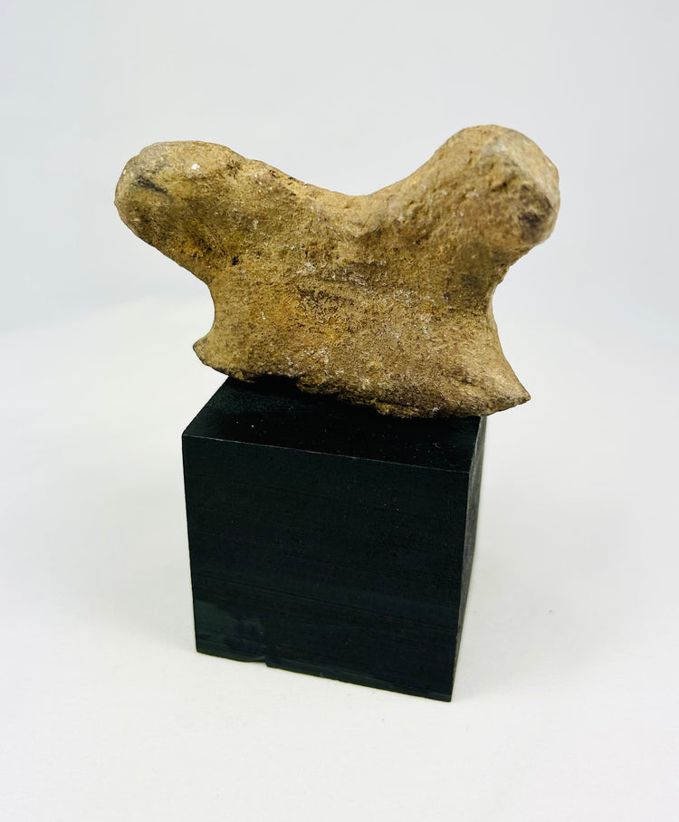 Pre-Columbian terracotta fragment showing stylized facial features