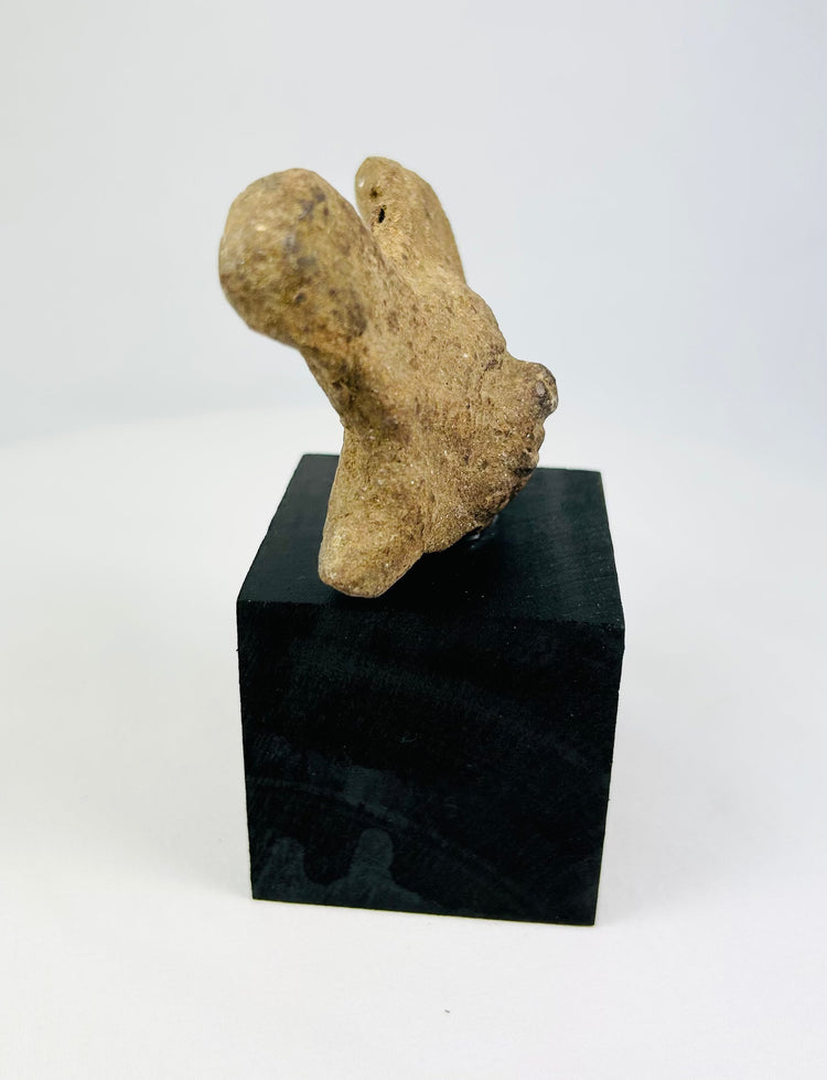 Ancient Pre-Columbian terracotta head with almond-shaped eyes and nose