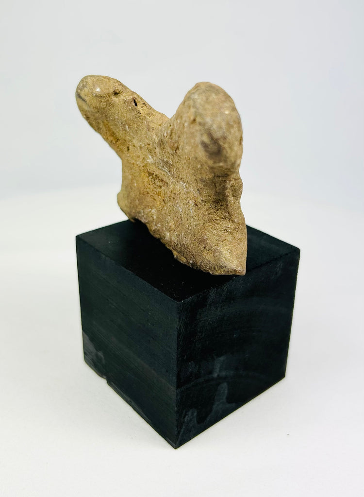 Shaft-tomb culture terracotta head fragment from West Mexico
