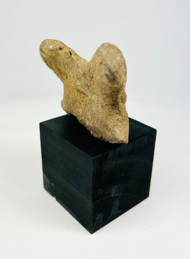 Shaft-tomb culture terracotta head fragment from West Mexico