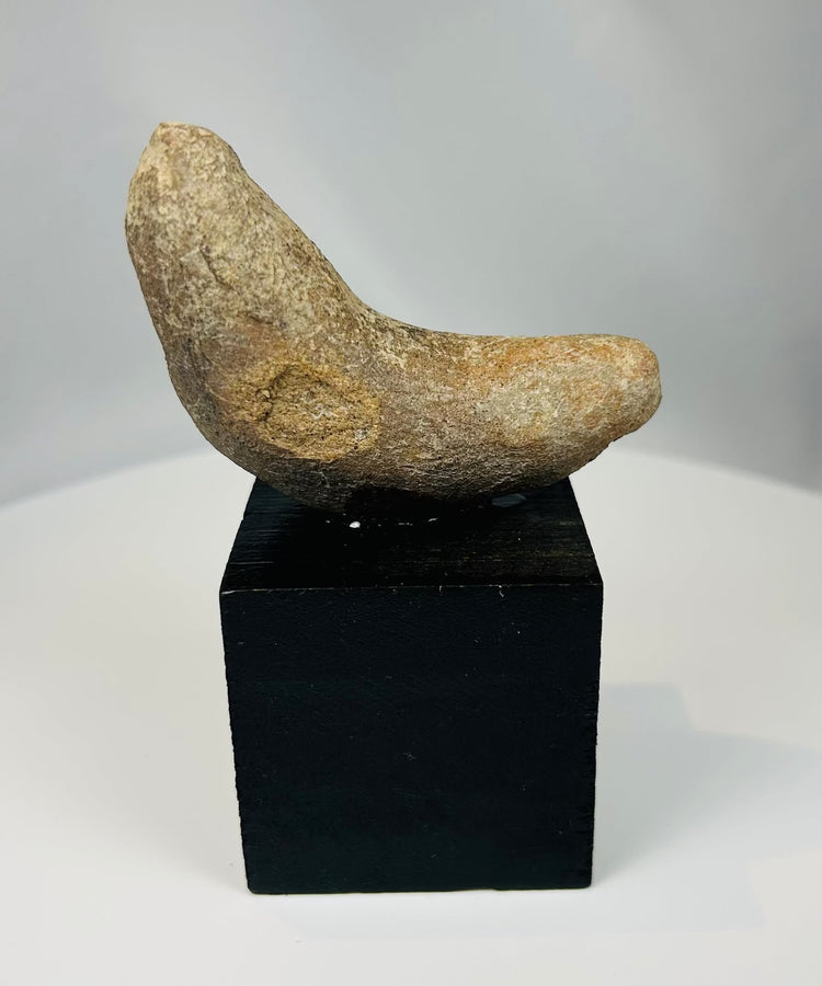 Ancient Pre-Columbian ground stone hand tool used for grinding or pounding materials