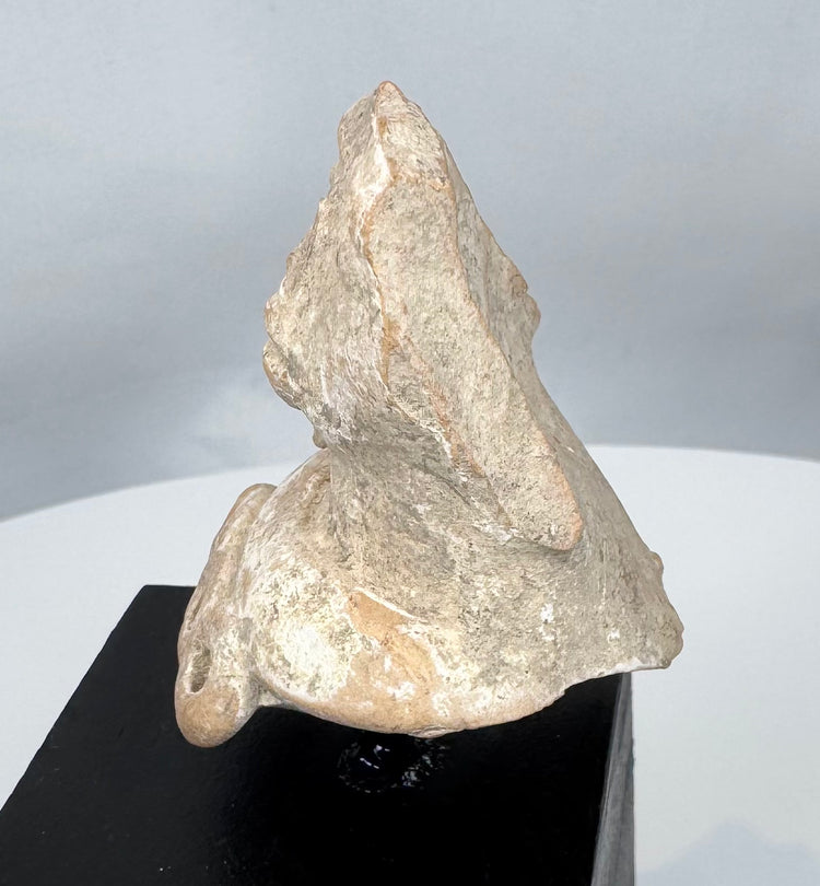 Terracotta female ceremonial figure fragment from ancient Mexico with weathered archaeological surface.