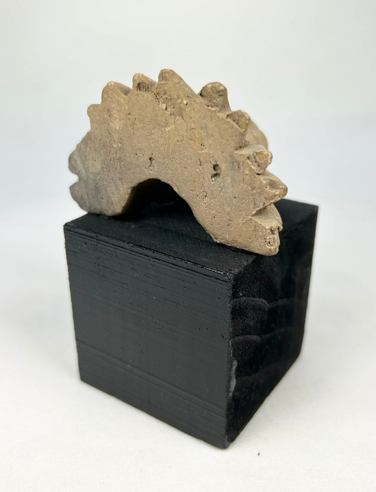 Mesoamerican carved stone guardian figure fragment with expressive eyes and muzzle