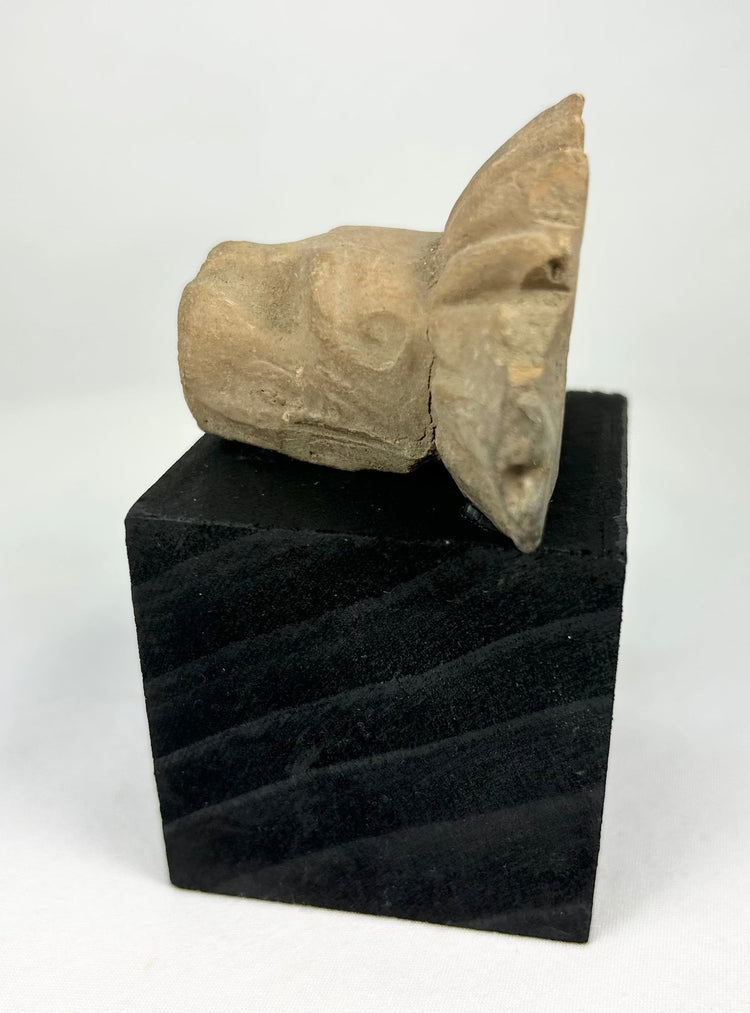 Pre-Columbian carved stone jaguar or guardian beast head, architectural fragment