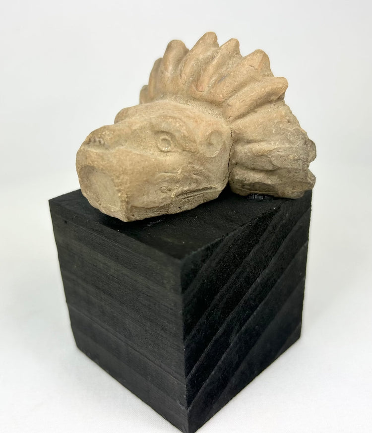 Carved stone animal head from Pre-Columbian Mesoamerica, mounted on modern display base