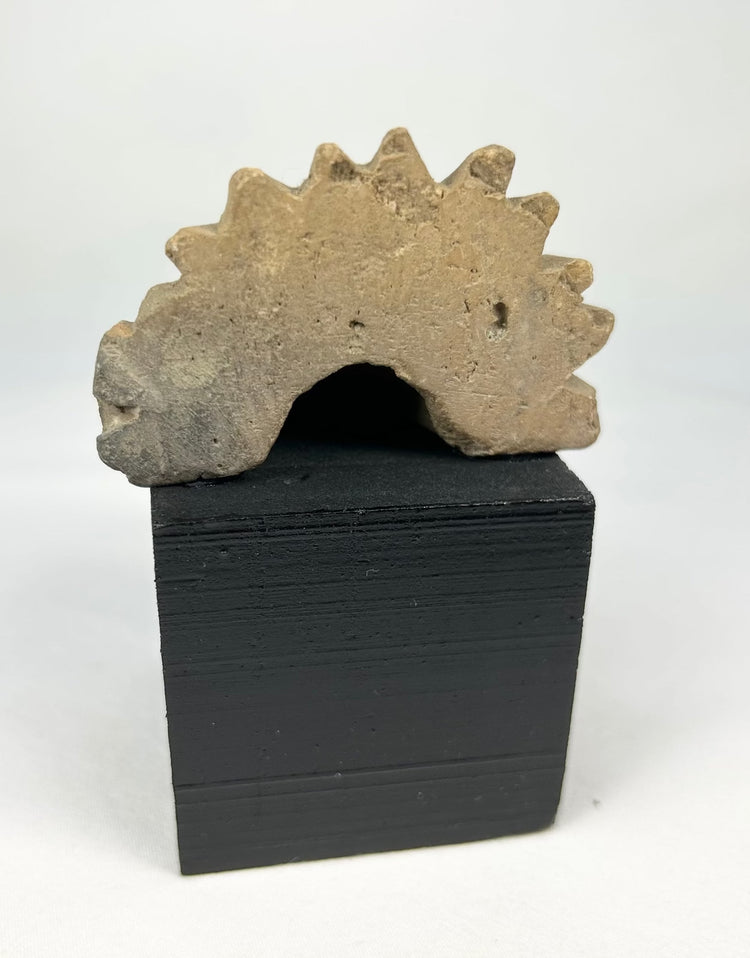 Pre-Columbian stone head fragment with radiating crest, possibly Aztec or Maya influence