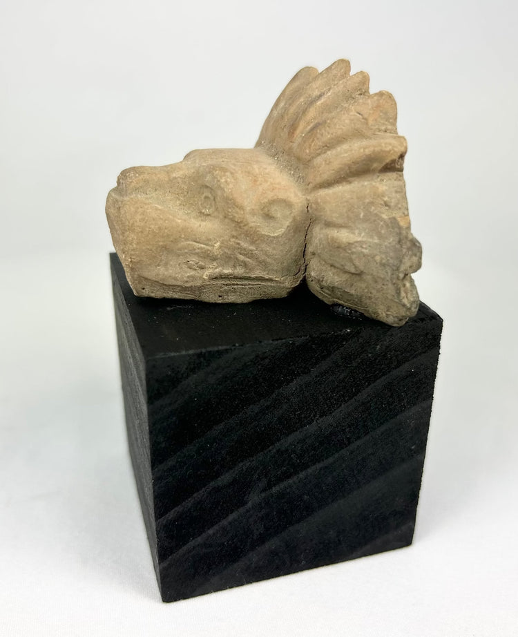 Mesoamerican ritual stone fragment depicting a fierce animal with stylized mane or crest