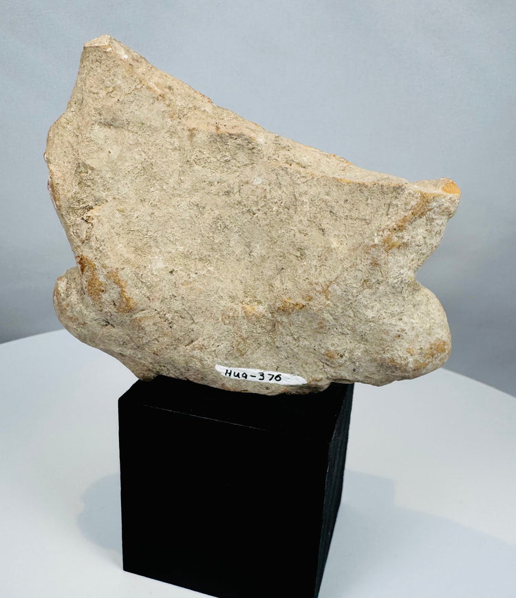 Rare Pre-Columbian figural terracotta fragment displaying elite ceremonial headdress and decorative ear ornaments.