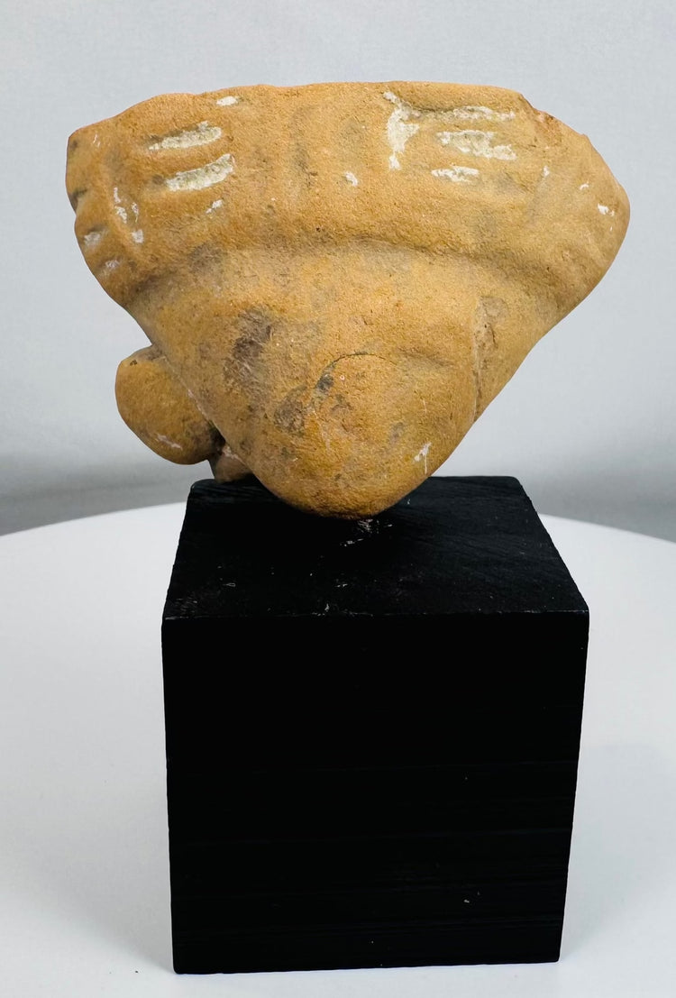 Terracotta human effigy head fragment mounted for display, retaining traces of original white pigment.