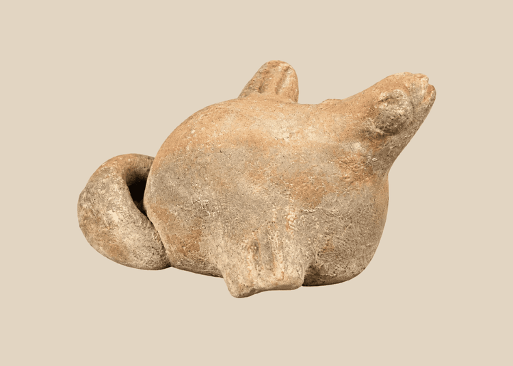 Rear view of Pre-Columbian terracotta zoomorphic effigy figure with curled tail