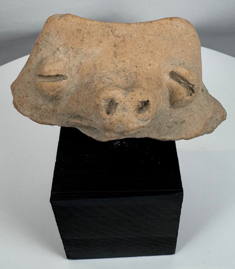 Weathered Pre-Columbian ceramic head fragment with relief-carved eyes and perforated nostrils.