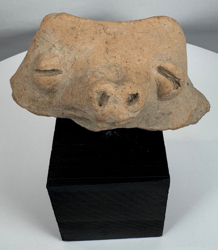 Weathered Pre-Columbian ceramic head fragment with relief-carved eyes and perforated nostrils.