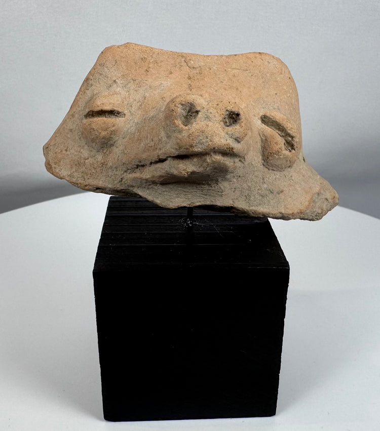 Ancient terracotta animal effigy fragment from the Pre-Columbian Americas mounted on a custom display stand.