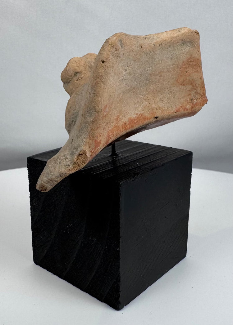 Terracotta zoomorphic head from ancient Mesoamerican or South American cultural traditions, circa 200–900 CE.