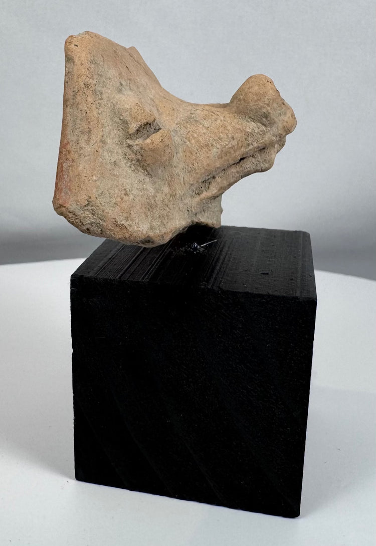 Authentic Pre-Columbian zoomorphic terracotta artifact mounted for display and preservation.