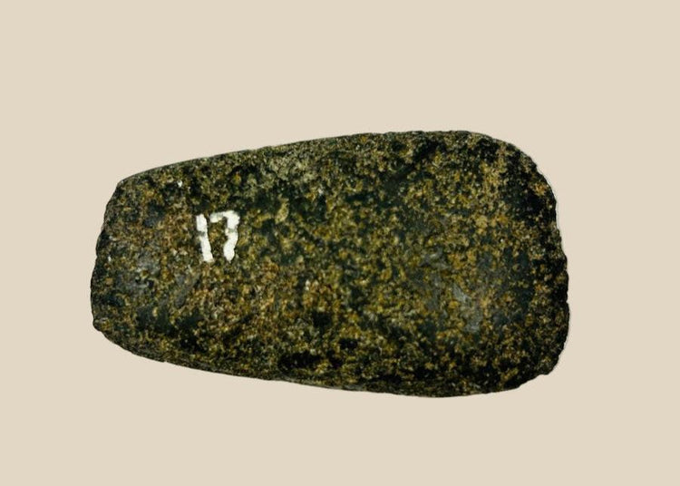 Pre-Columbian Andean ground-stone axe from Ecuador or Peru, 200–800 CE. Small utilitarian tool with fully ground faces, steep beveled cutting edge, and rounded use-worn edge. Archaeological numbering confirms provenance. Reflects daily life, practical craftsmanship, and durable stone-working technology of ancient Andean societies.