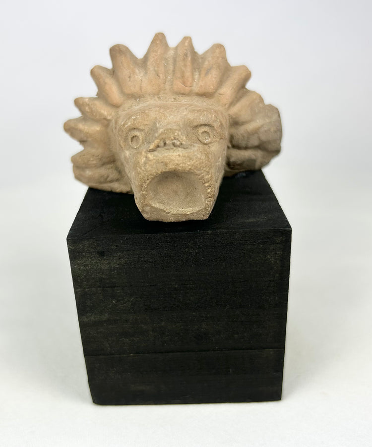 Pre-Columbian Mesoamerican carved stone animal head, circa 900–1500 CE, jaguar or lion-like guardian figure fragment with radiating mane, mounted on black display base