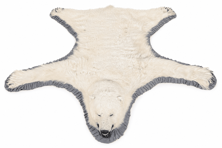 Antique polar bear rug head with glossy eyes, black nose, open mouth, visible teeth, and ivory fur.