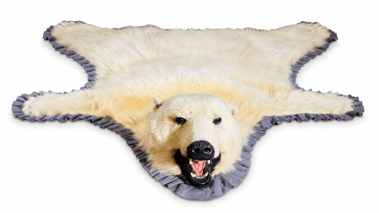 Antique polar bear skin rug displayed in full on a clean white background with grey fabric edging and mounted head.