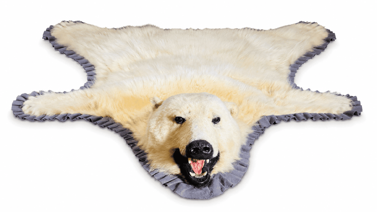Antique polar bear skin rug displayed in full on a clean white background with grey fabric edging and mounted head.