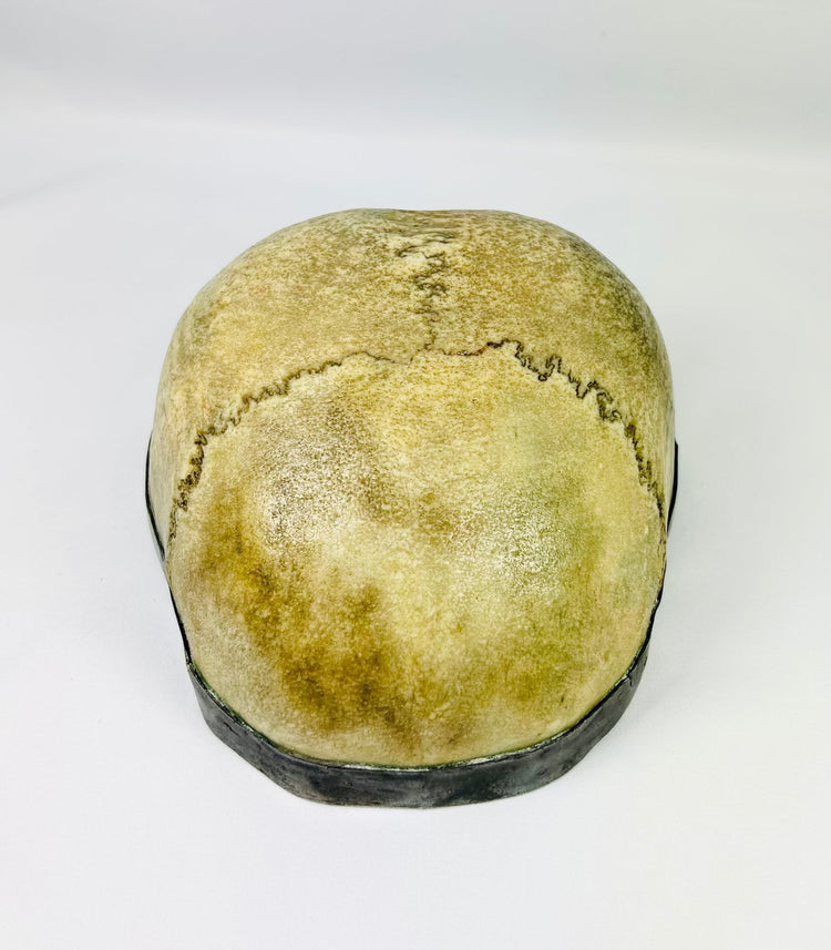 Authentic 19th century Tibetan Buddhist kapala (ritual skull cup) crafted from human skull with silver lining and rim, polished bone with visible cranial sutures, used in Tantric rituals and cemetery meditations
