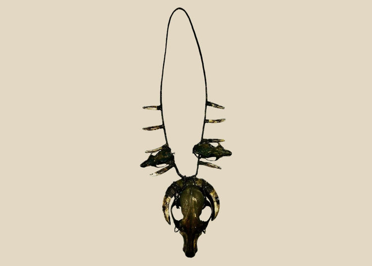 Ethnographic ceremonial necklace featuring a central wild dog skull, flanked by rodent skulls and pig teeth, strung on woven twine, used in shamanic or warrior rituals.