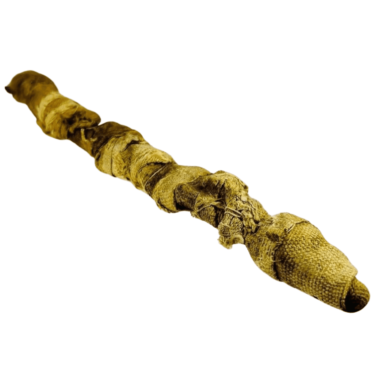 Ancient Egyptian votive crocodile mummy associated with the god Sobek, displaying intact form, aged textile wrappings, and natural archaeological wear.