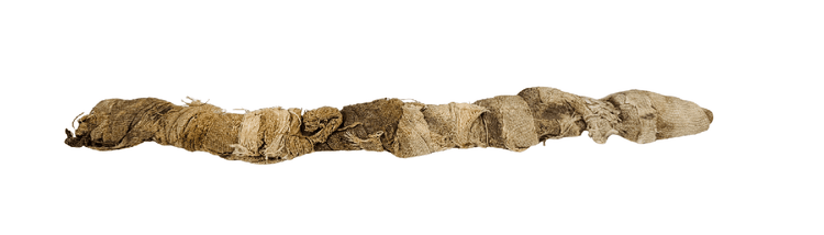 Side view of an ancient Egyptian crocodile mummy showing the elongated votive form and naturally aged linen wrappings associated with the worship of Sobek.