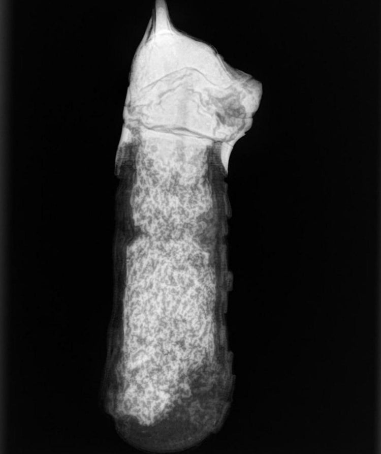 X-ray image of an ancient Egyptian cat mummy showing internal remains and linen wrappings, Ptolemaic Period artifact.