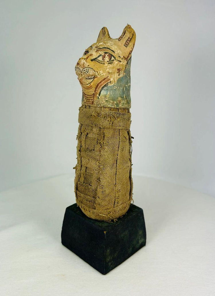 Ancient Bastet cat mummy from Egypt displayed upright with intact wrappings on museum-style stand