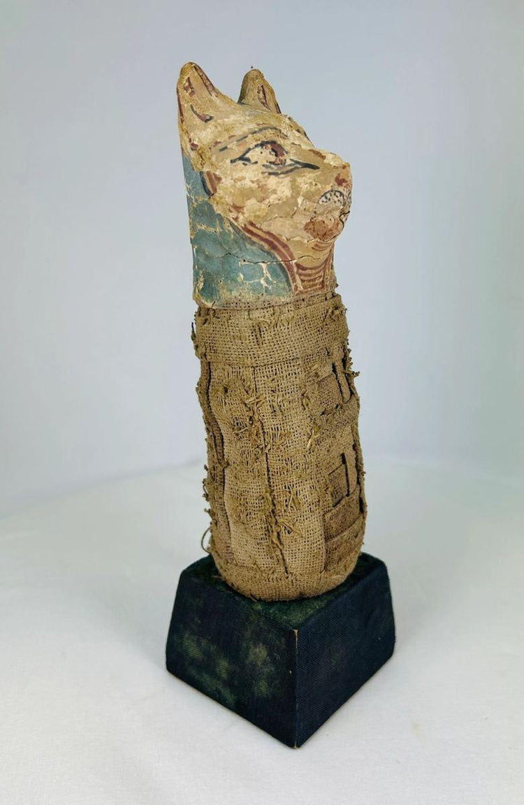 Linen-wrapped cat mummy from Ptolemaic Egypt circa 300–100 BCE