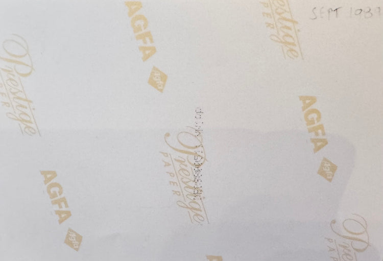 Back of archival photograph showing handwritten date September 1983.