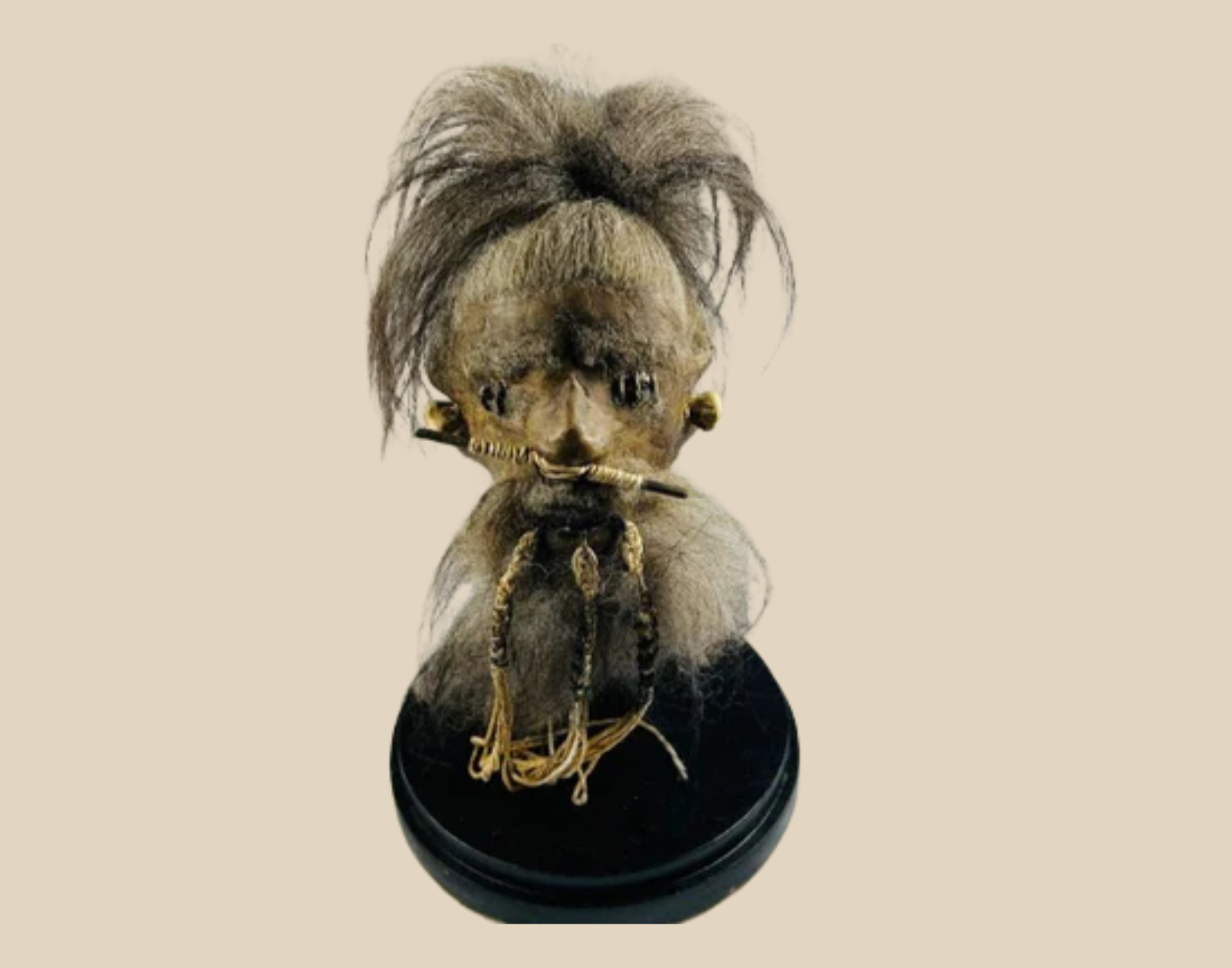 Ecuadorian tsantsa shrunken head artifact displayed under a glass dome on a black base, showcasing preserved facial features and hair