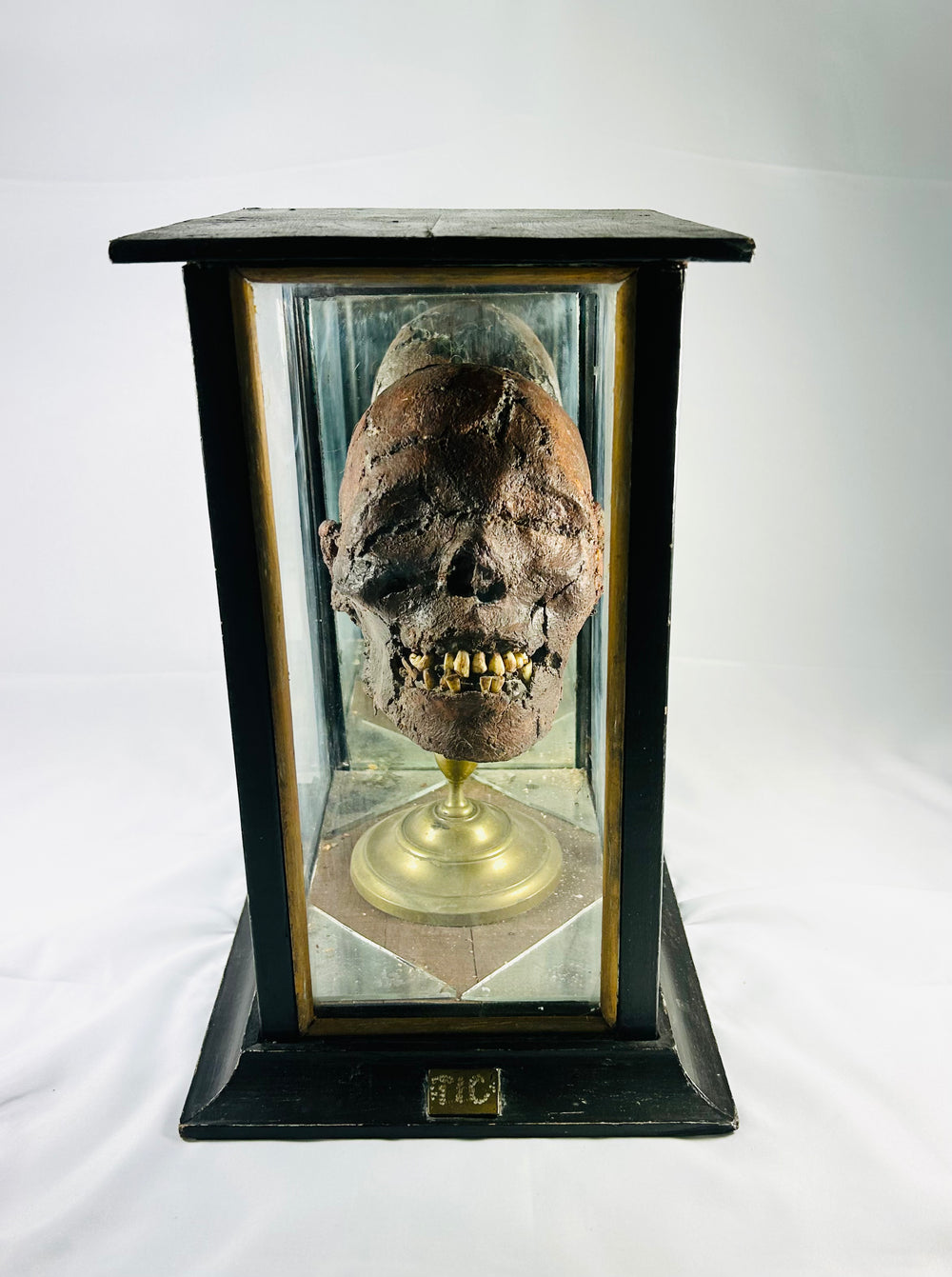 Rare 19th-century mummified head known as ‘TIC’, featuring clay construction, genuine human teeth, mounted on brass stand, displayed in custom wood and glass case