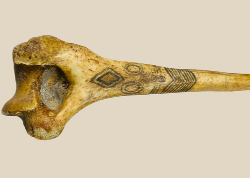 19th-century New Guinea Highlands “husband-killing” ritual dagger carved from human femur, decorated with natural pigments and cassowary feathers, ethnographic artifact