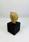 Classical Mediterranean terracotta sculpture fragment with natural patina mounted
