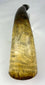 Antique colonial powder horn with engraved Native warrior and militiaman, Fort William Henry 1755