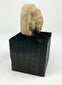 Near Eastern terracotta head fragment with defined beard and coiffure