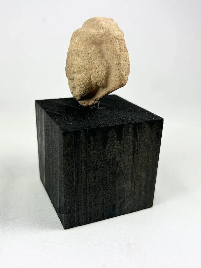 Angled view of a bearded male terracotta head fragment from the ancient Near East
