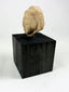 Angled view of a bearded male terracotta head fragment from the ancient Near East