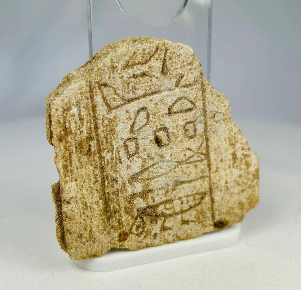 Textured surface of ancient limestone with clearly carved Egyptian hieroglyphs.