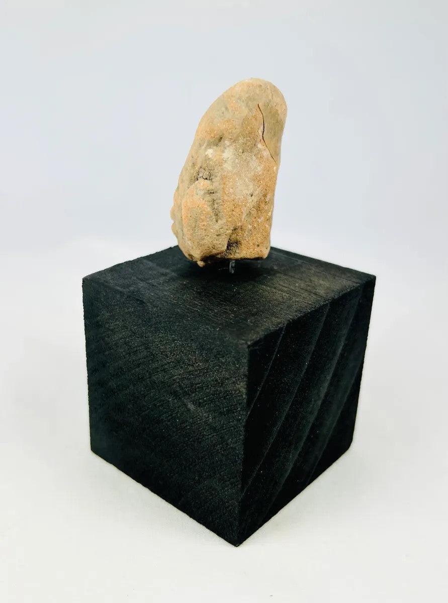 Side profile view showing cranial form of a Pre-Columbian terracotta head