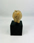 Ancient terracotta head fragment Greek or Roman symbolic status in classical art