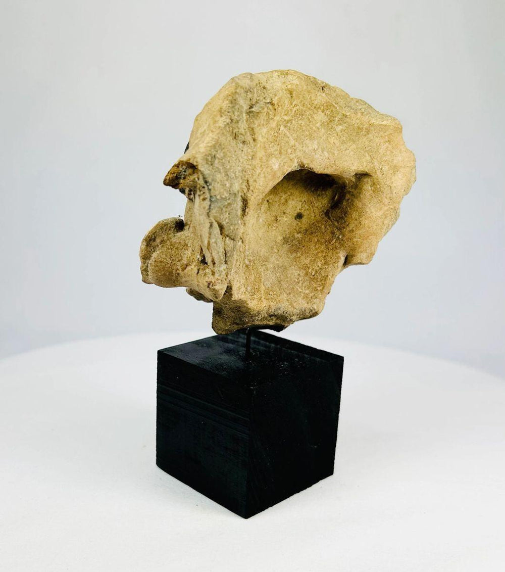 Ceramic head fragment with turban-like headpiece and traces of black pigment