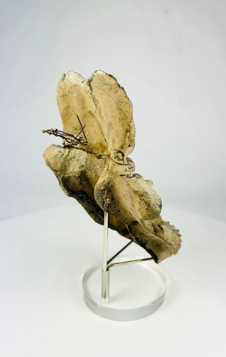 Detail of incised headdress and necklace on a Pre-Columbian effigy