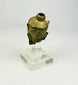 Angled view of a cast bronze Buddha head from Southeast Asia