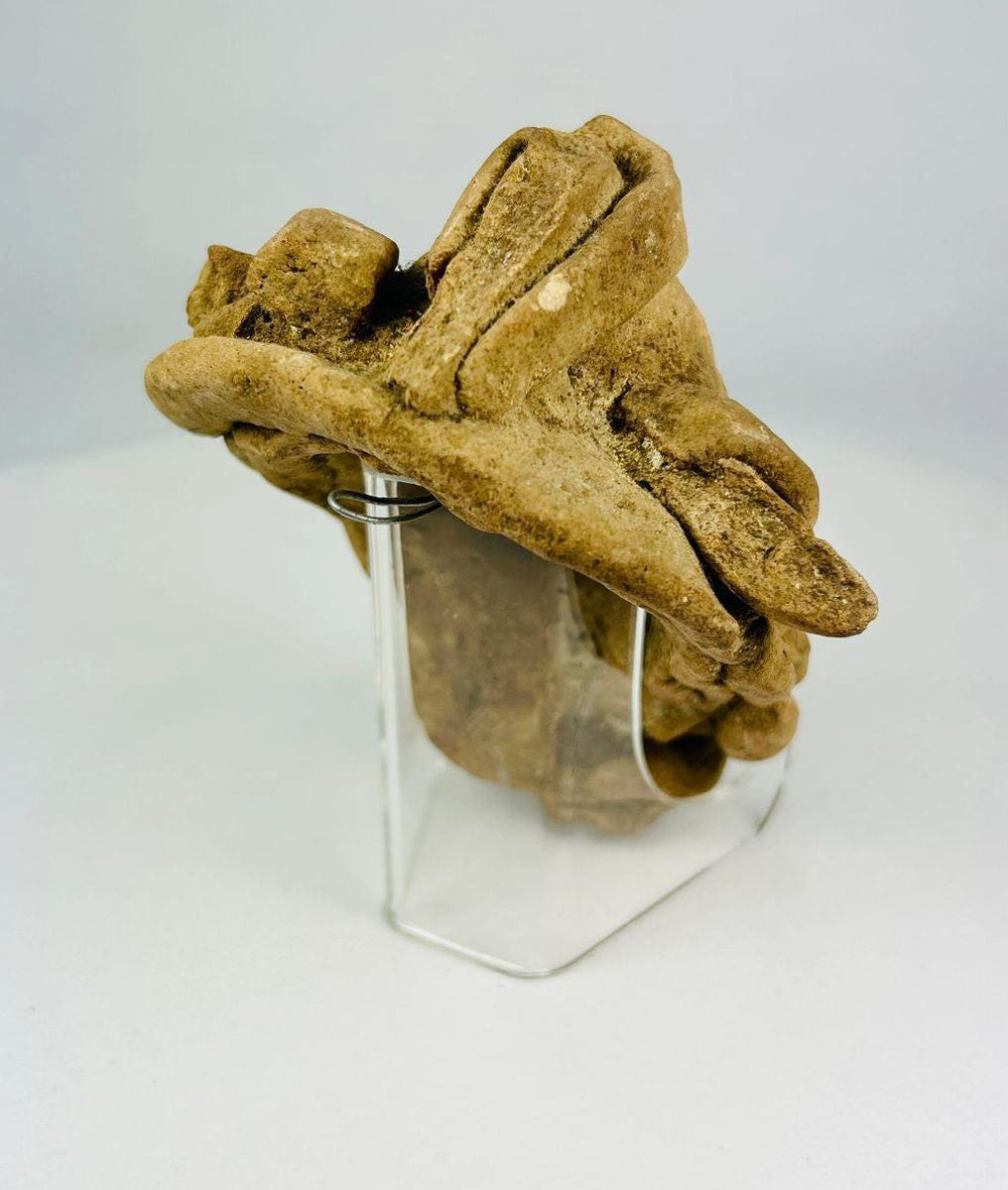 Pre-Columbian terracotta sculpture head, angled view showing expressive open mouth