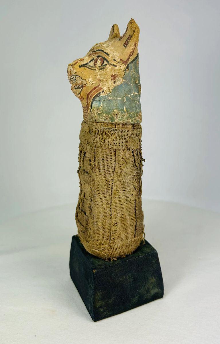 Side view of Ancient Egyptian Bastet cat mummy with detailed linen wrappings and painted mask.