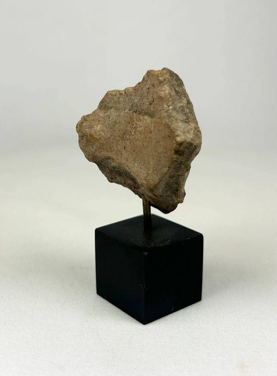 Museum-style presentation of a Pre-Columbian terracotta effigy fragment