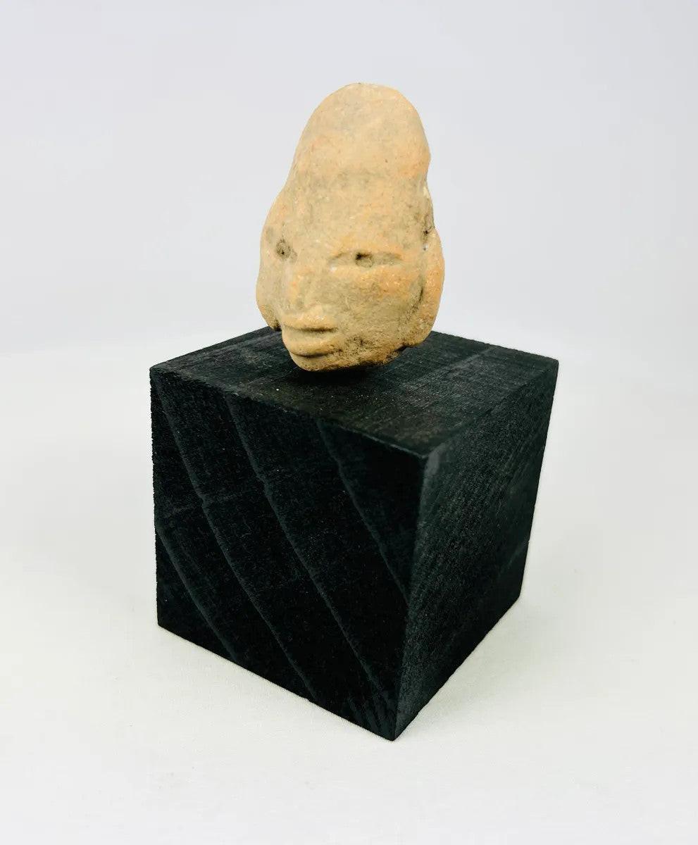 Front view of a West Mexican terracotta head fragment on display stand